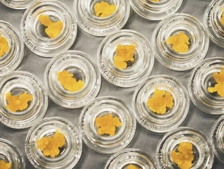 sherbs | Solvent | Sugar | 1g by Oro