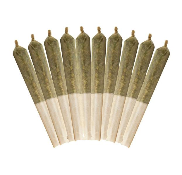 Jack Haze | Minis | 0.5g | 10pk