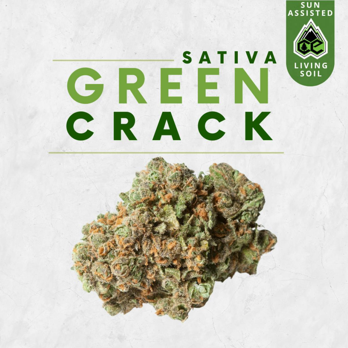 Green Crack | Big Buds | 3.5g