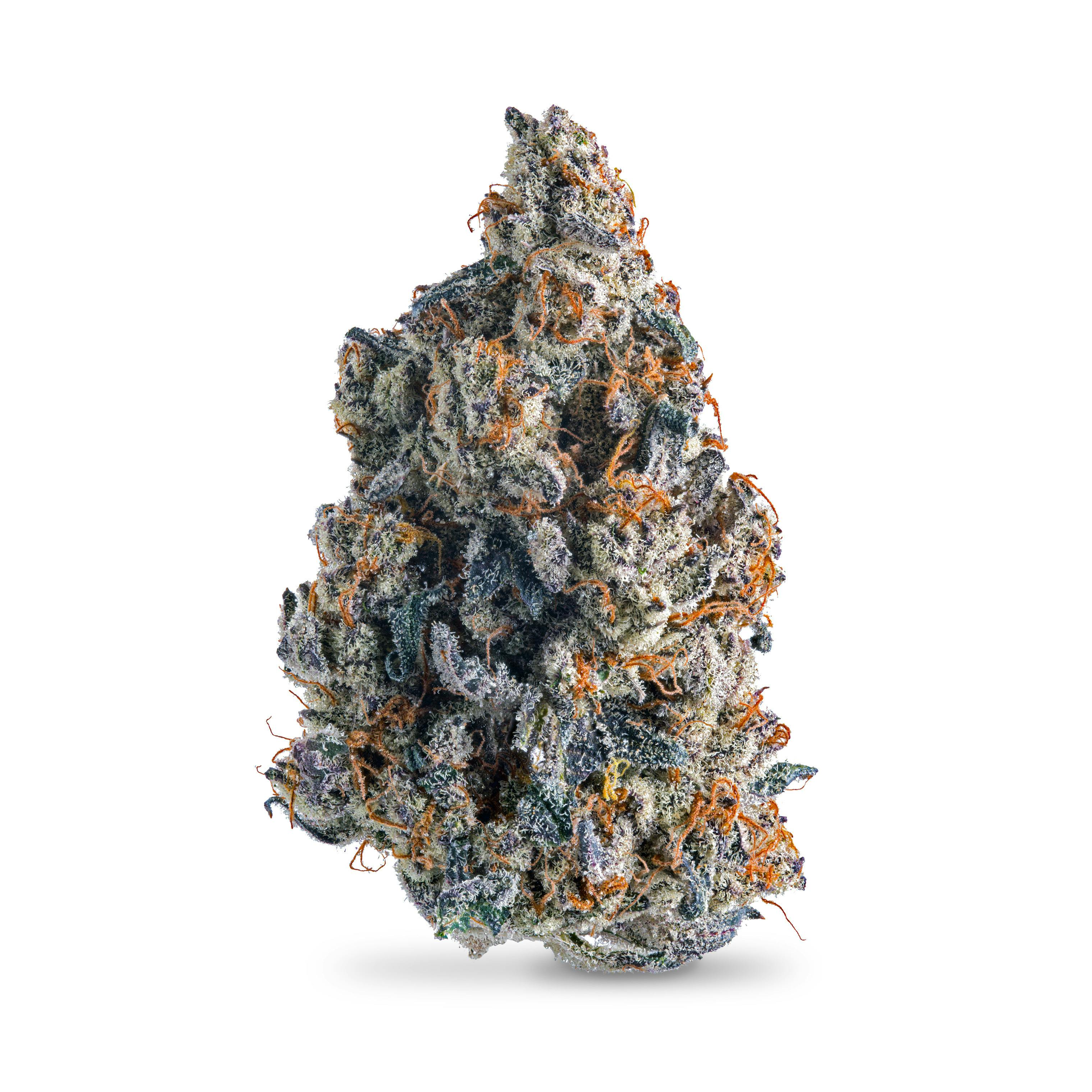 Tropical Infusion | Big Buds | 3.5g by High Noon Extracts