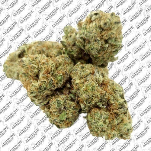 the soap | Big Buds | 1g