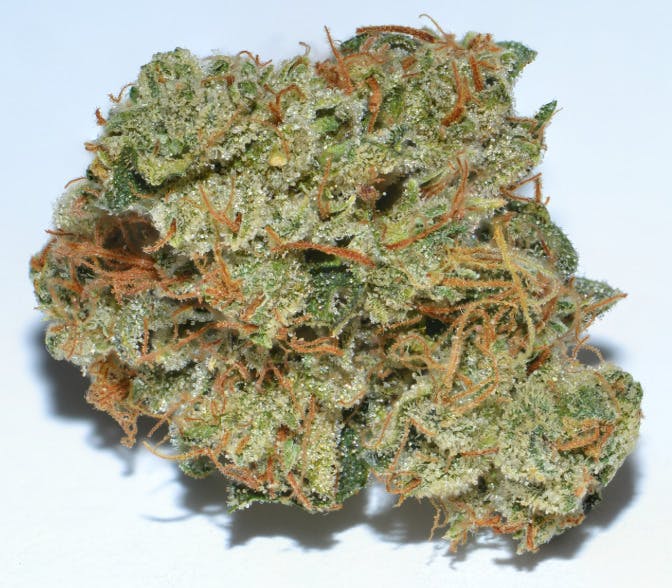 ADL x SFV OG | Big Buds | 1g