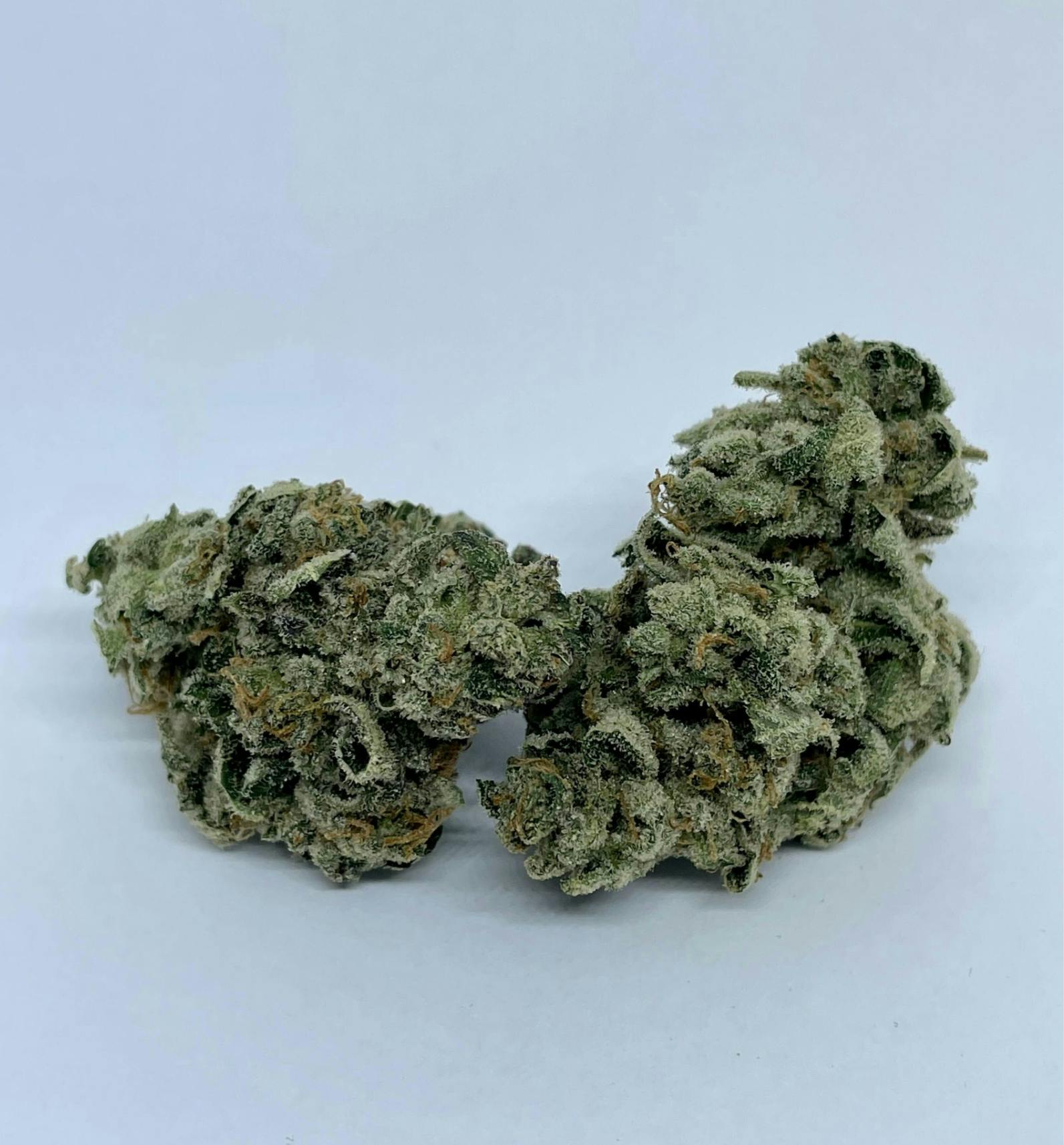 Chocolate Cough | Big Buds | 28g by Nature's Miracle