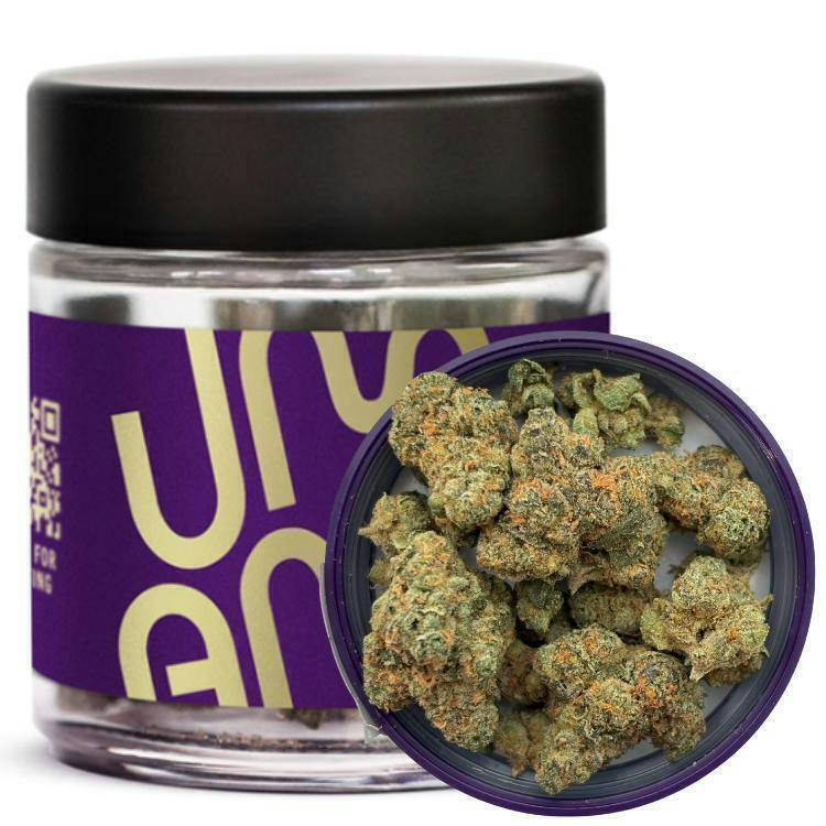 Gary Payton | Buds | 3.5g
