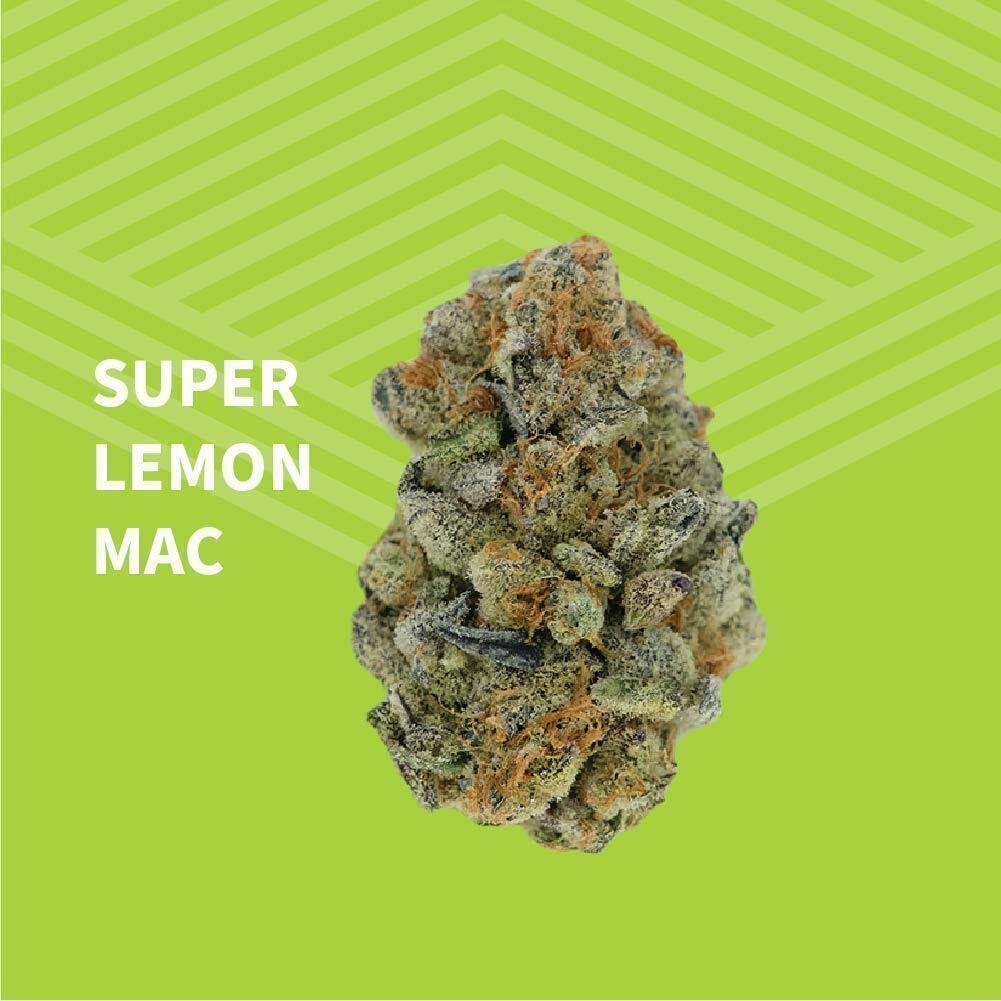 Super Lemon MAC | Big Buds | 1g at Pure Dakota Health Williston Dispensary