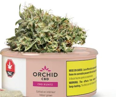 Runtz | Big Buds | 3.5g - Orchid