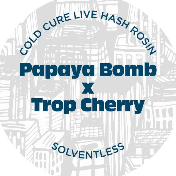 Papaya Bomb x Trop Cherry | Solventless | Rosin | 1g at Wild Flower Dispensary