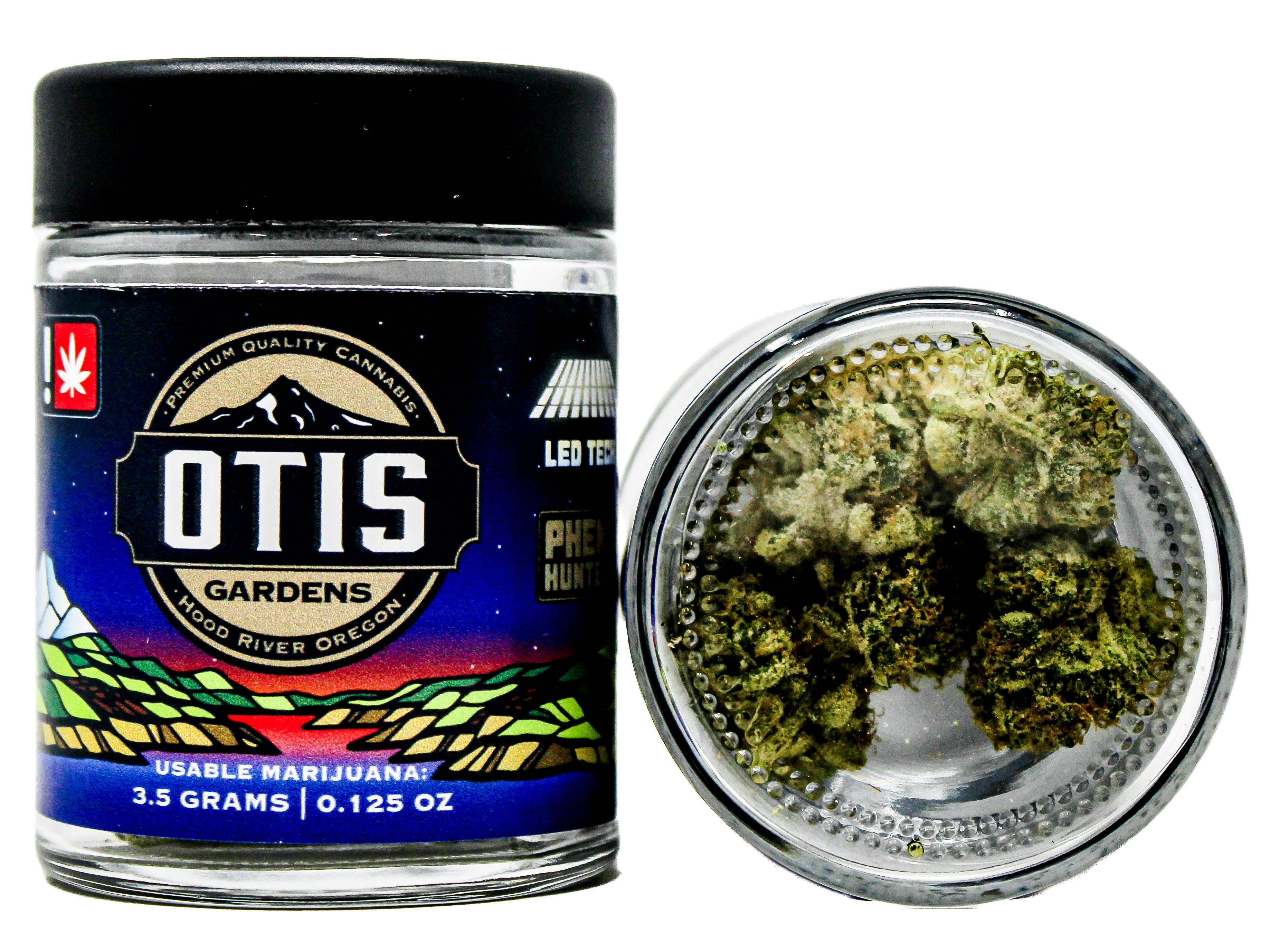 Otis Gardens: Orange Cream Cake
