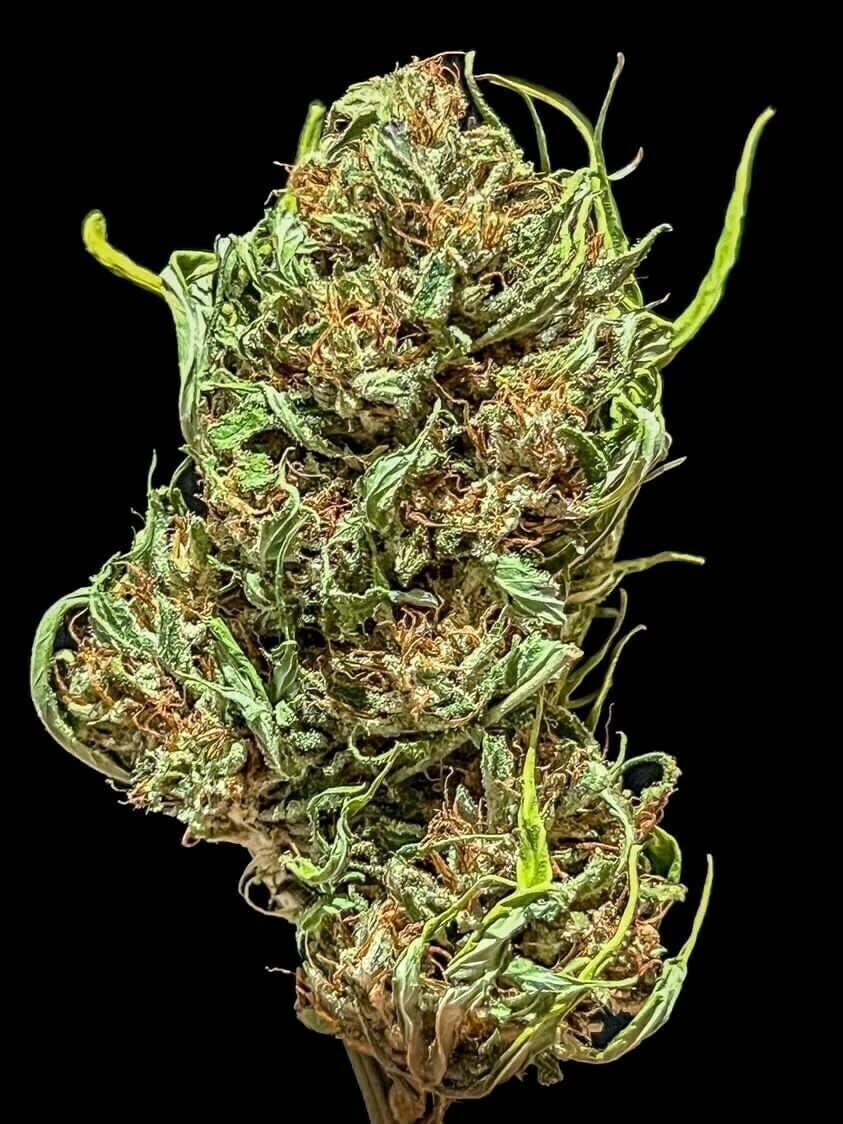 Acapulco Gold — Acapulco Gold
