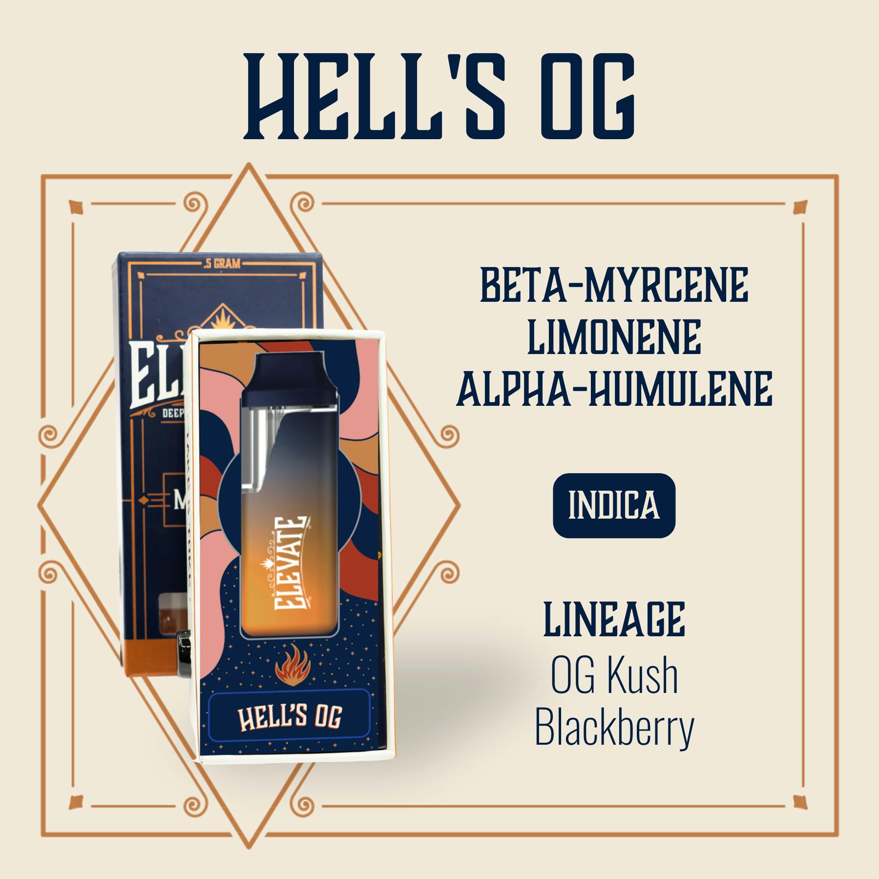 Hell's OG | Disposable | 0.5g by Elevate