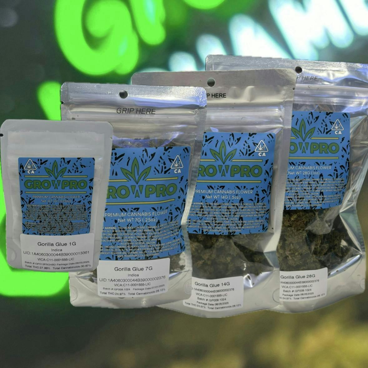 Gorilla Glue | Big Buds | 1g at The Green Chamber