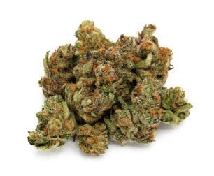 Superboof Orange | Big Buds | 3.5g