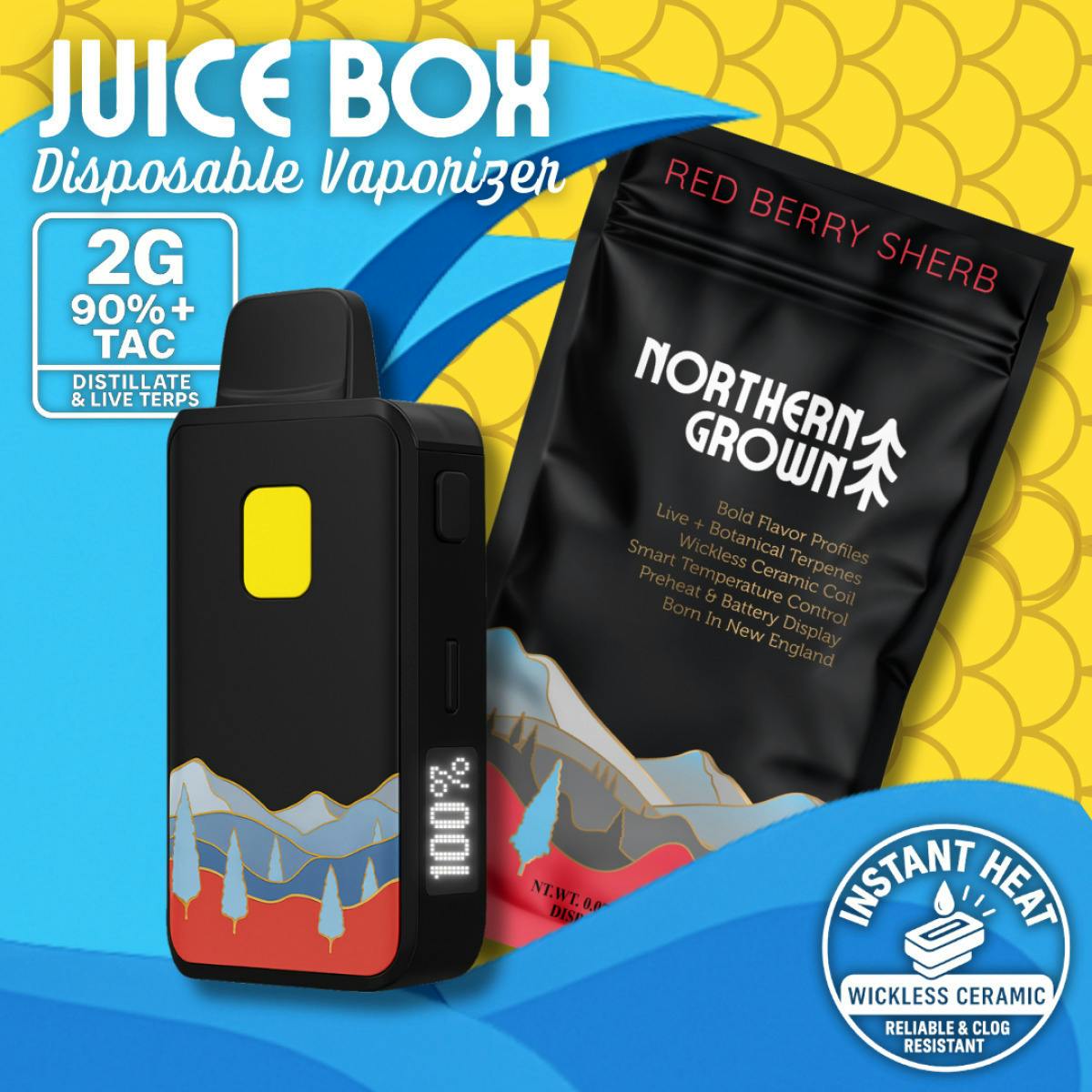 Red Berry Sherb | Disposable | 2g by Northern Grown