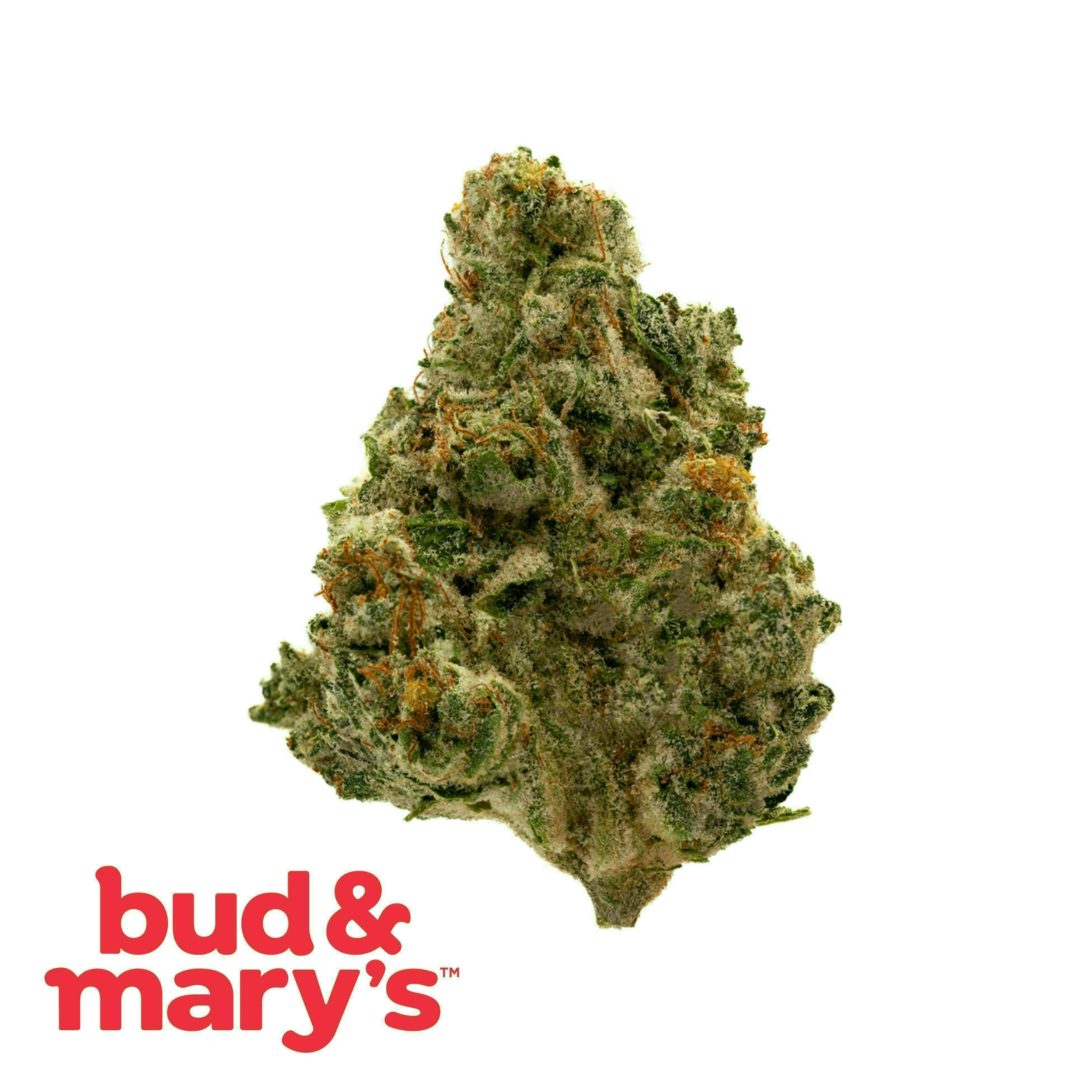 Mocha Runtz | Buds by Bud & Mary's