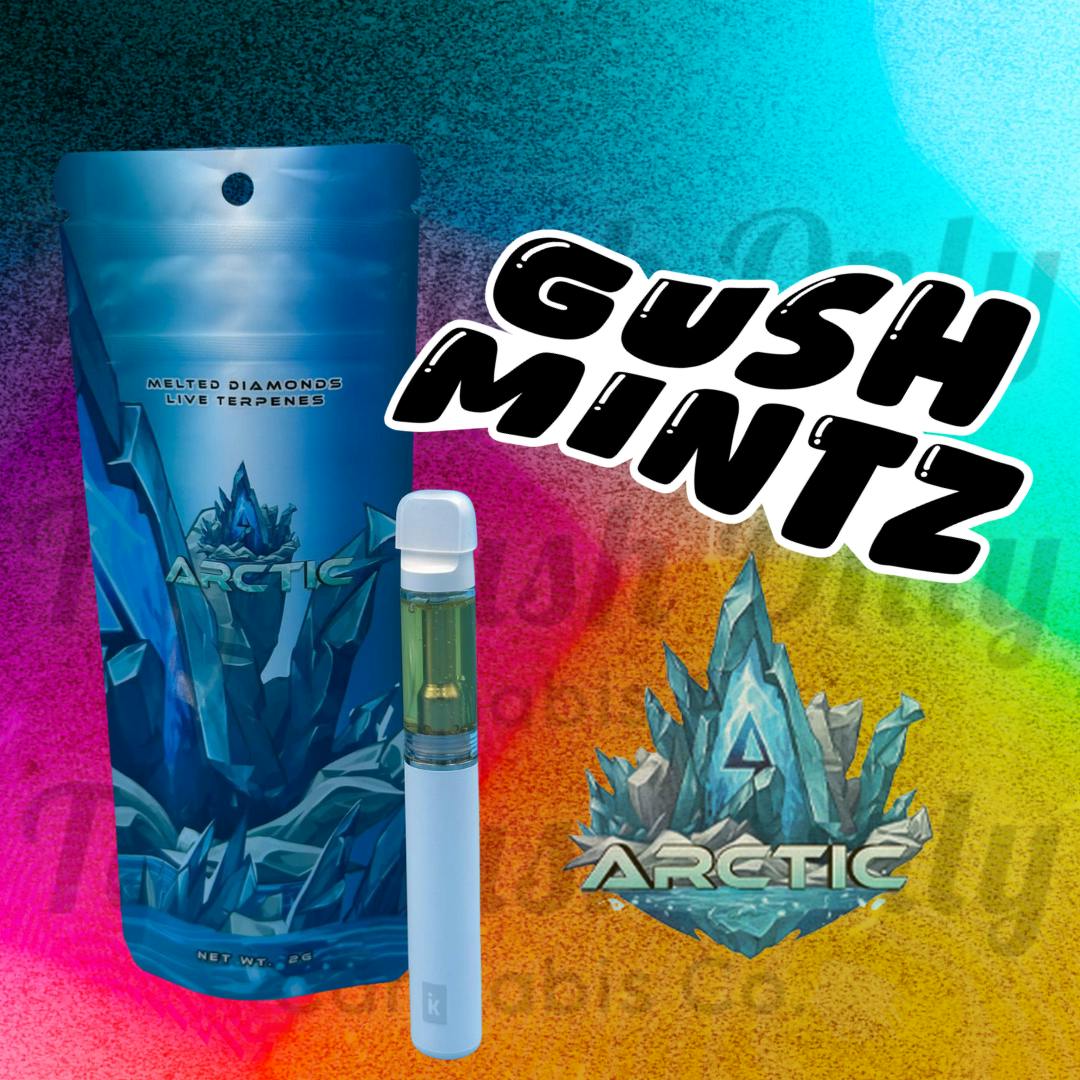 gush mintz | Disposable | 2g