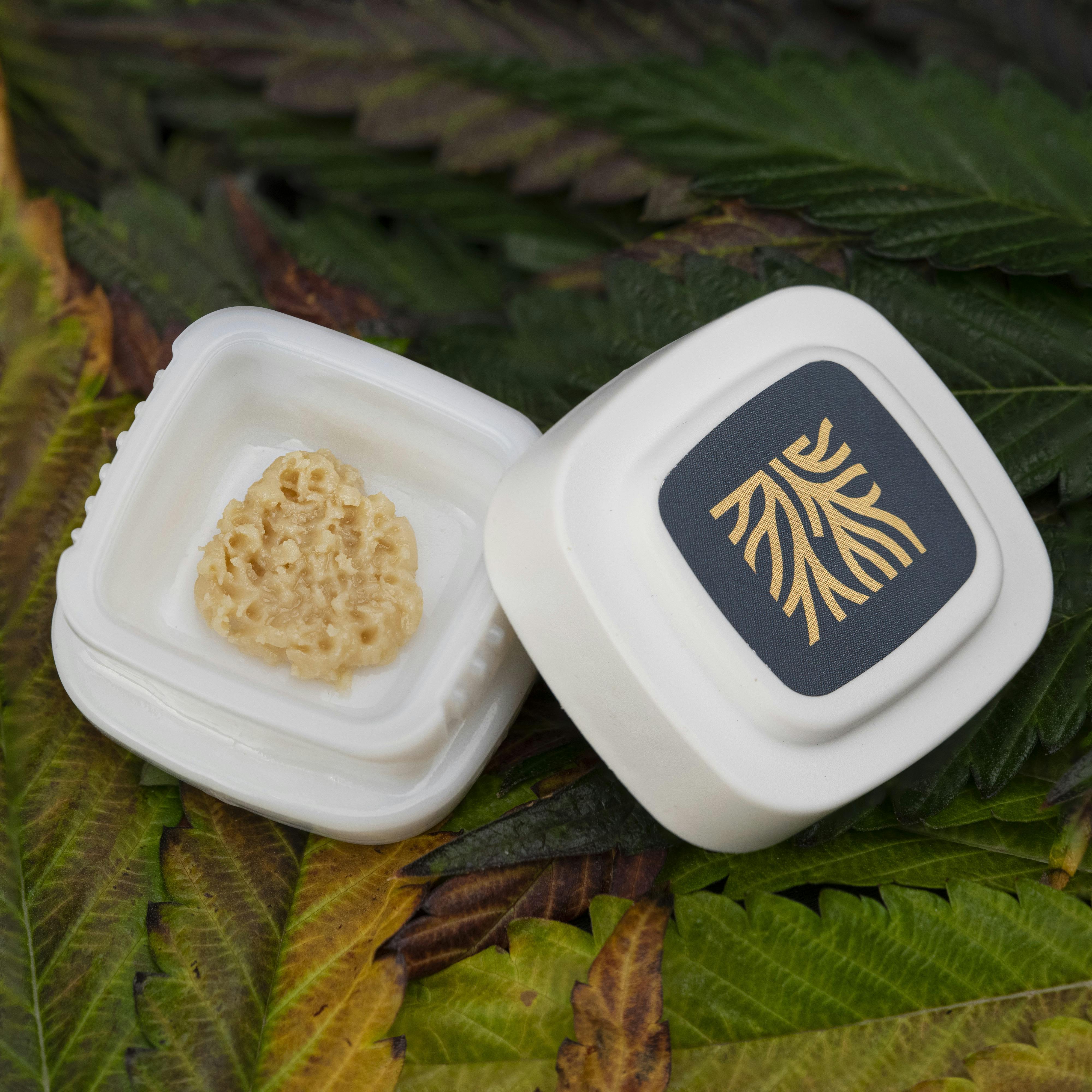 Pura Vida | Solventless | Rosin | 1g at Elevated Roots Dispensary Abington