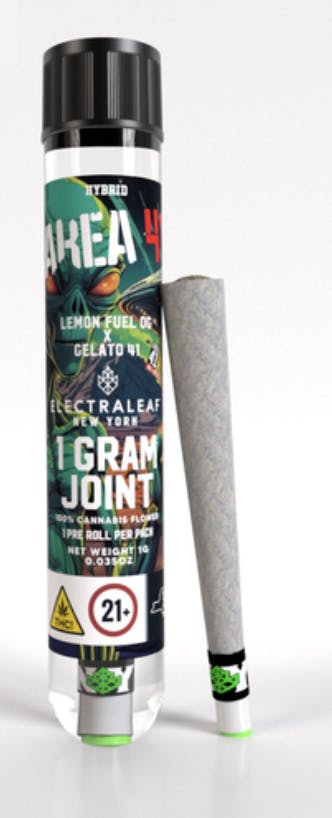 Area 41 | Joints | 1g