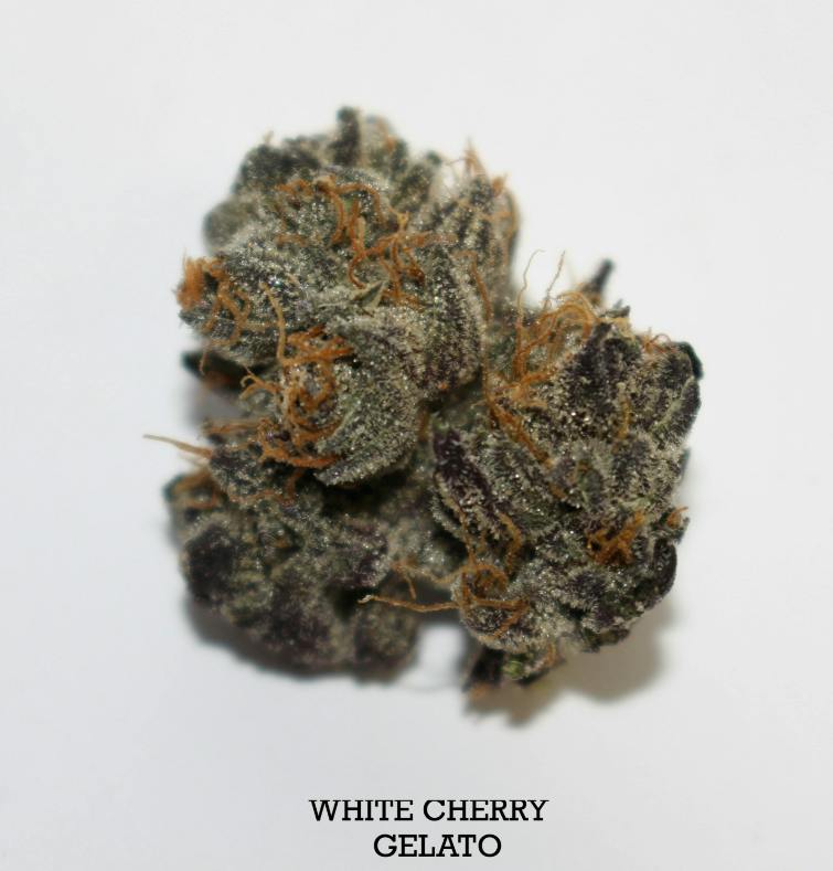 White Cherry Gelato | Smalls | 3.5g