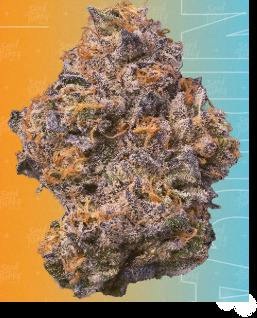 Permanent Marker | Big Buds | 1g