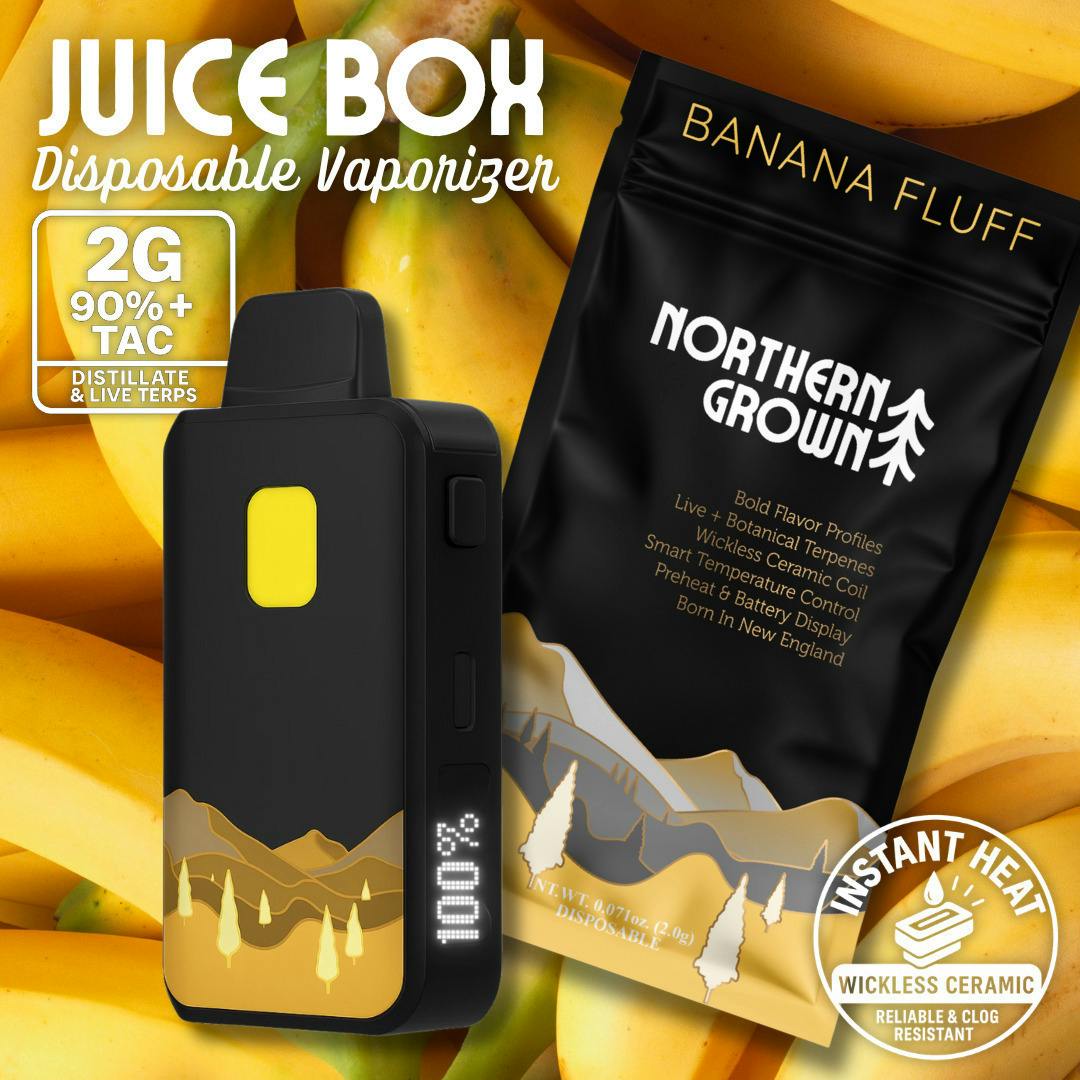 Banana Fluff | Disposable | 2g by Northern Grown