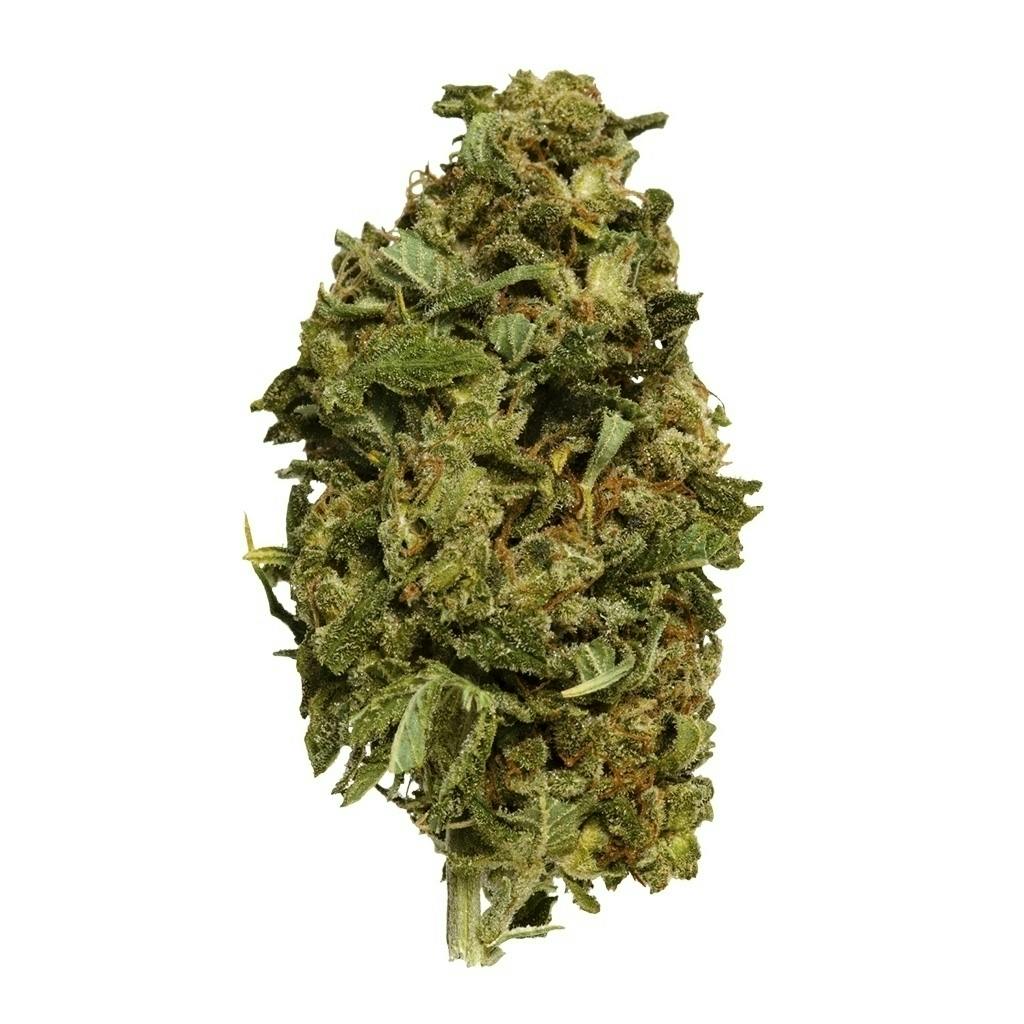 Big Buds | 14g