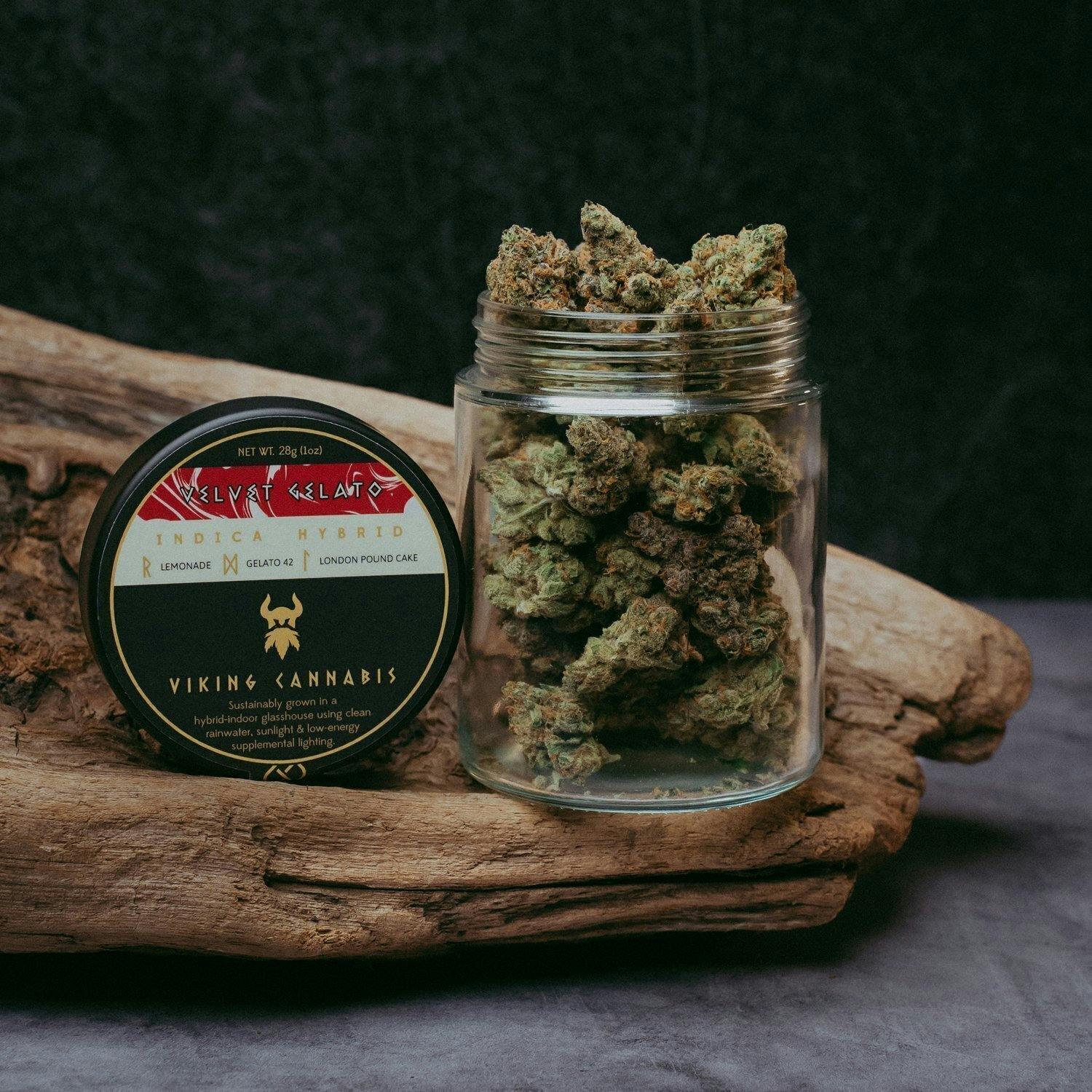 Velvet Gelato | Big Buds | 3.5g by Viking Cannabis