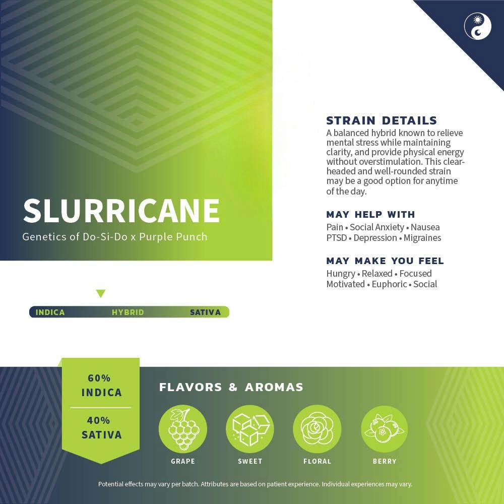 Slurricane | Solvent | 0.5g at Pure Dakota Health of Fargo