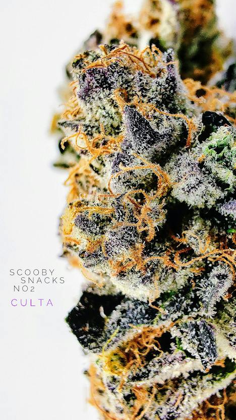 SFV OG x 8541 | Big Buds | 3.5g by Culta