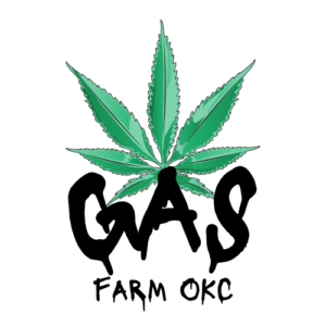 Bittersweet | Big Buds | 3.5g