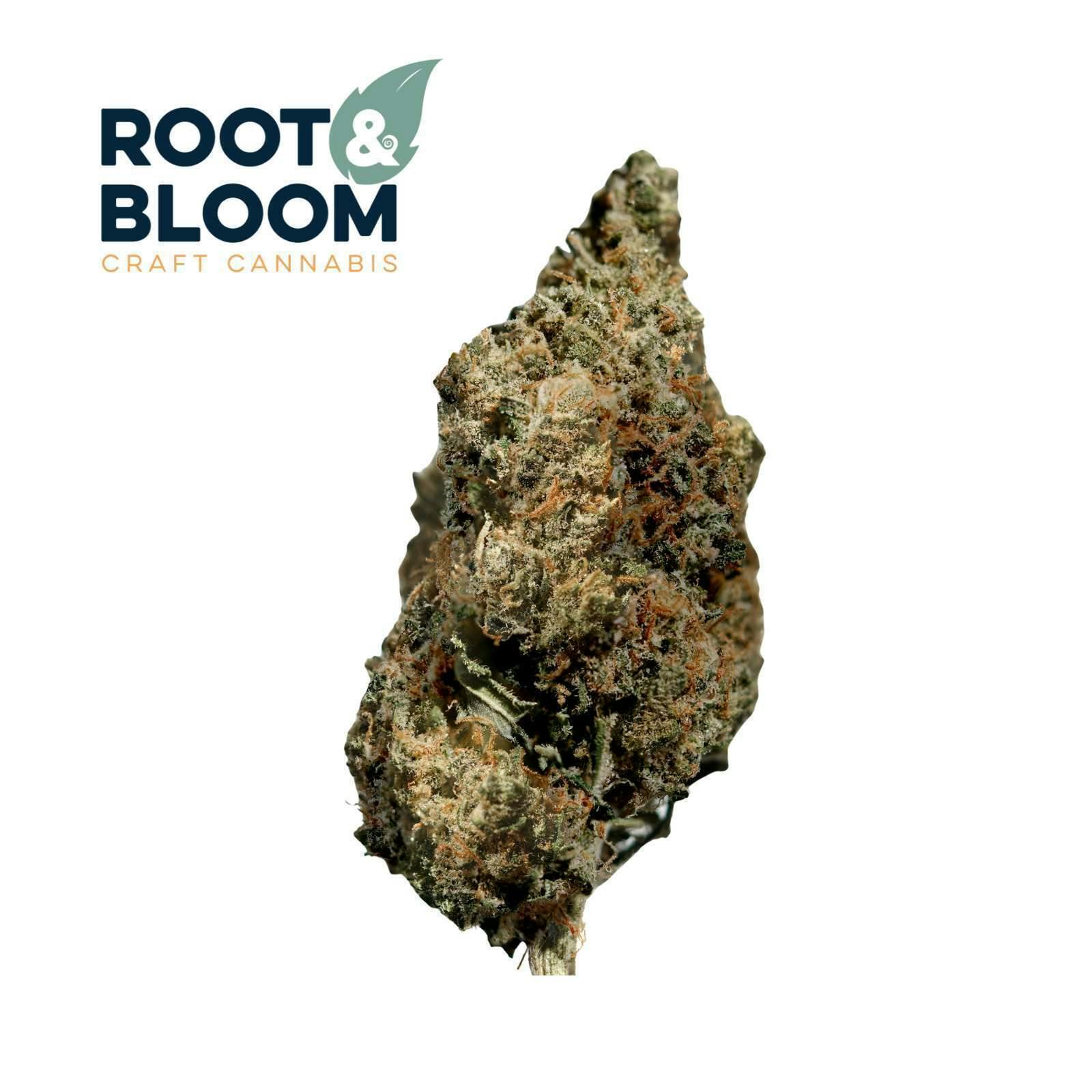 Durban Margy | Big Buds | 28g