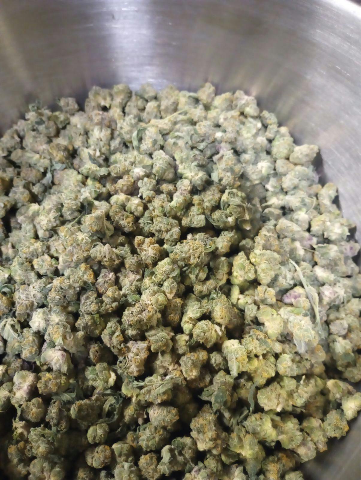 California Dreamin | Buds | 1g