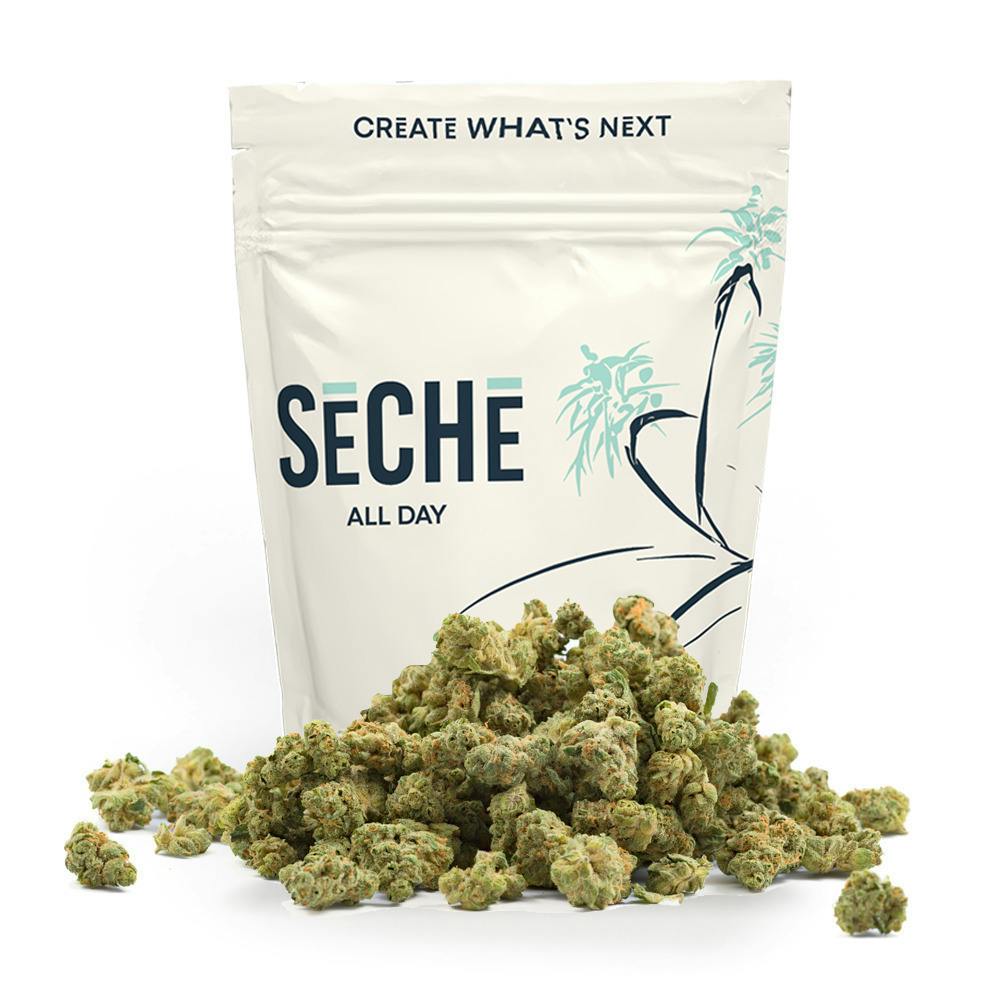 Banana Pie | Big Buds | 28g by Seche
