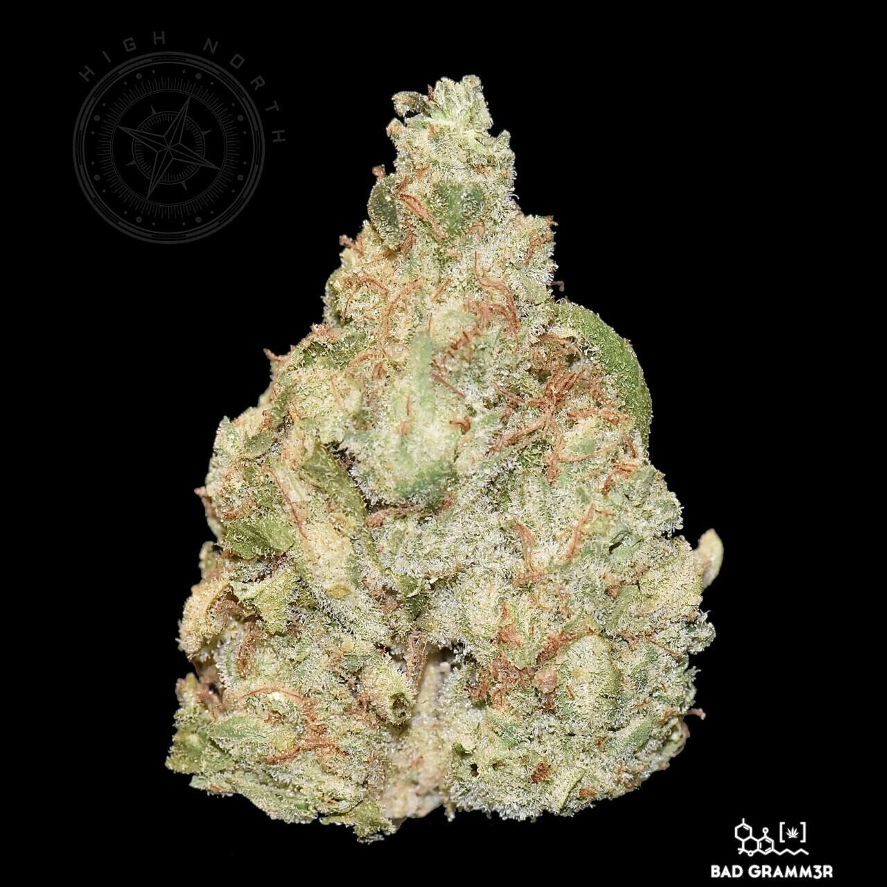 Wonka Bars | Big Buds | 3.5g