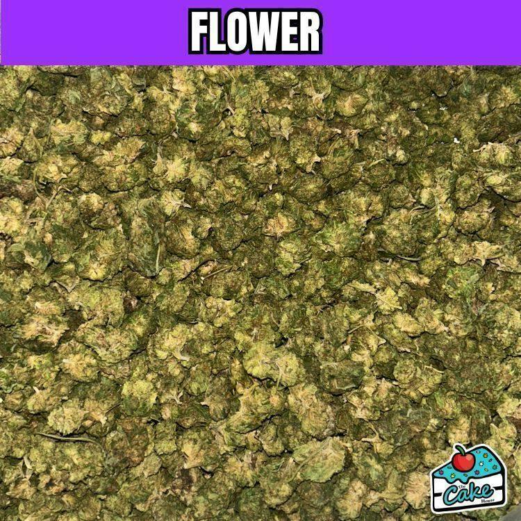Gelato 41 | Buds | 1g at Exotics Cannabis Co.