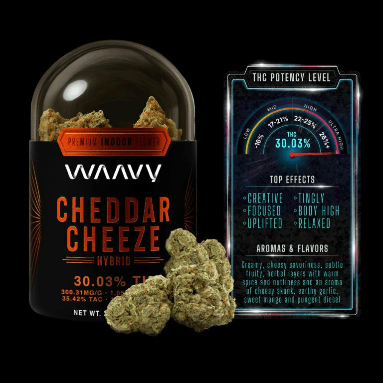 Cheddar Cheeze | Big Buds | 3.5g