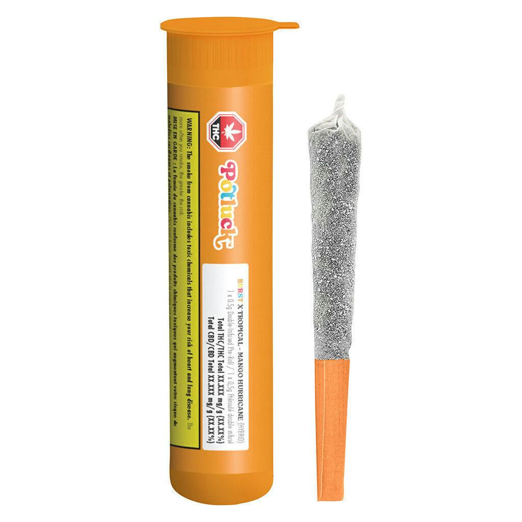 Mango Hurricane | Infused Minis | 0.5g