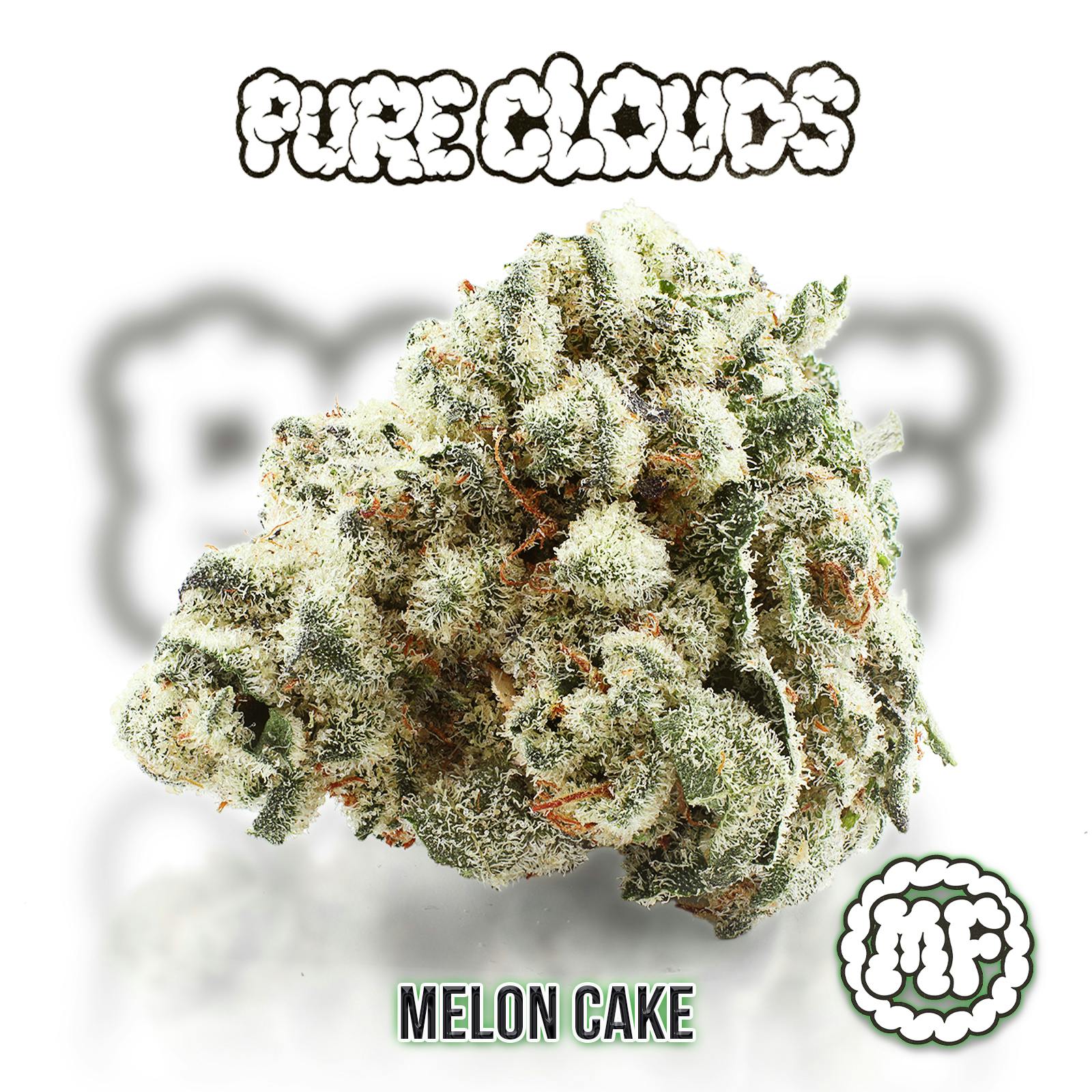 Melon Cake | Big Buds | 1g