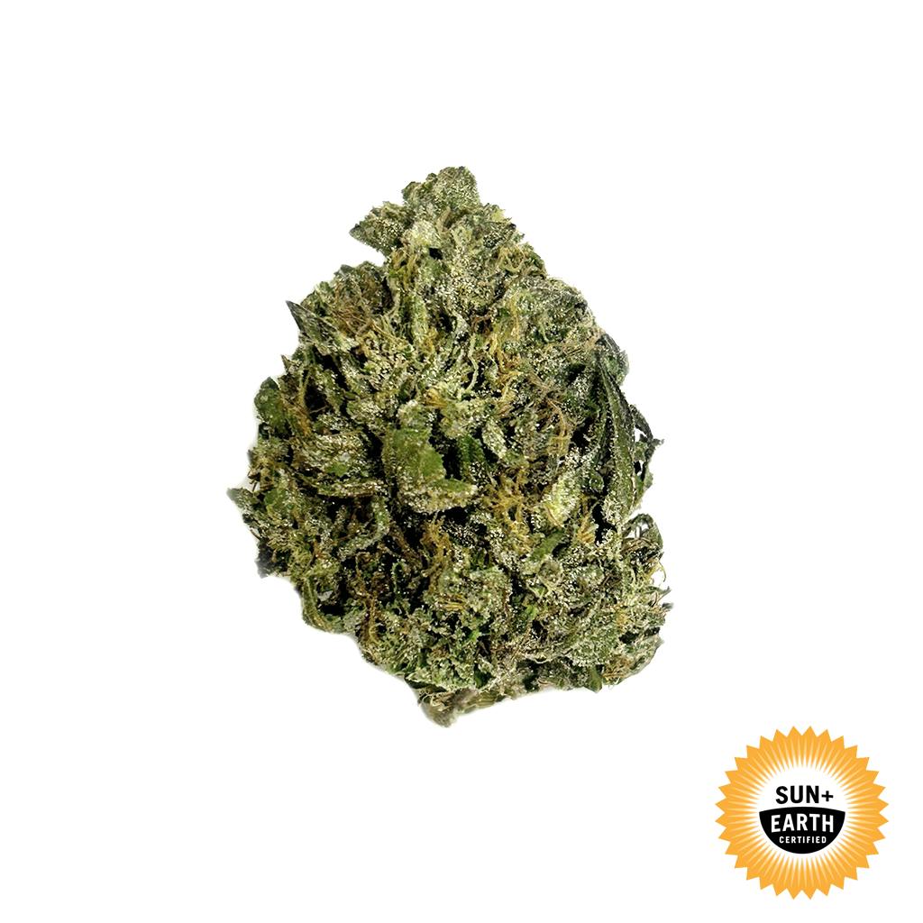 Gelato | Big Buds | 28g