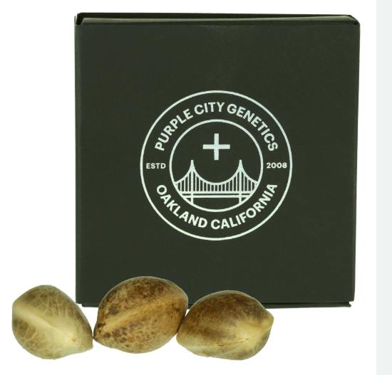 Tiffany 10pk - 1 Each | Seeds