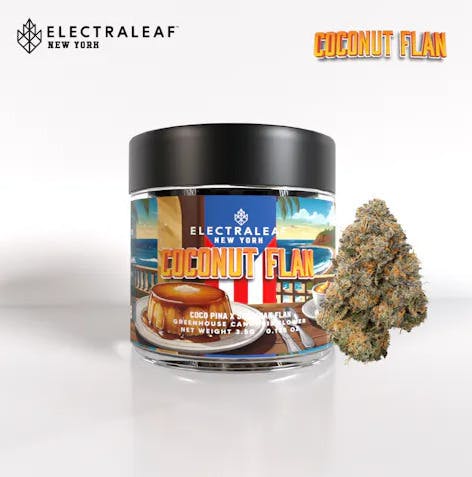 Coconut Flan | Big Buds | 3.5g by ElectraLeaf