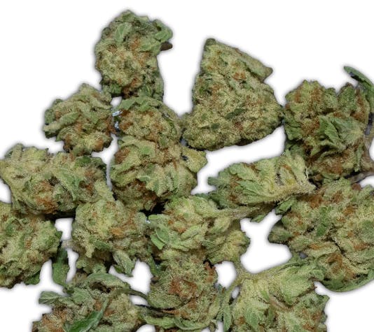 Papaya Punch | Smalls | 2g