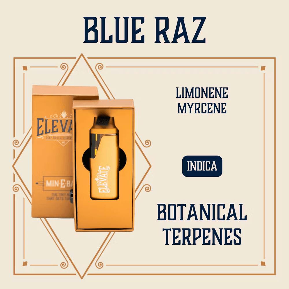 Blue Raz | Disposable | 1g by Elevate