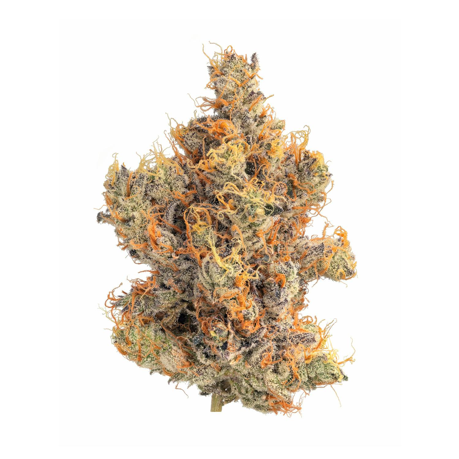 Wonka Bars | Big Buds | 3.5g