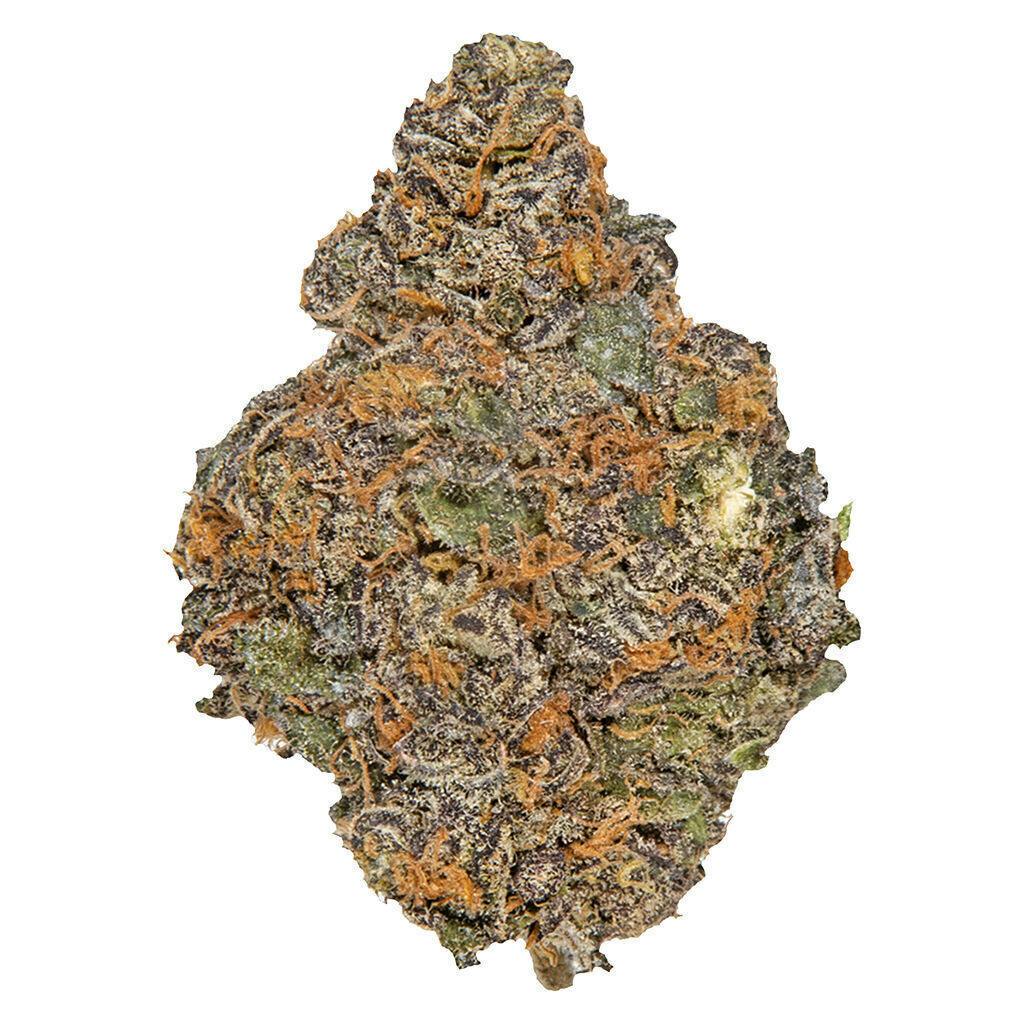 Beaver Tail | Big Buds | 7g