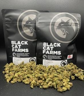 Kiwi | Big Buds | 1oz