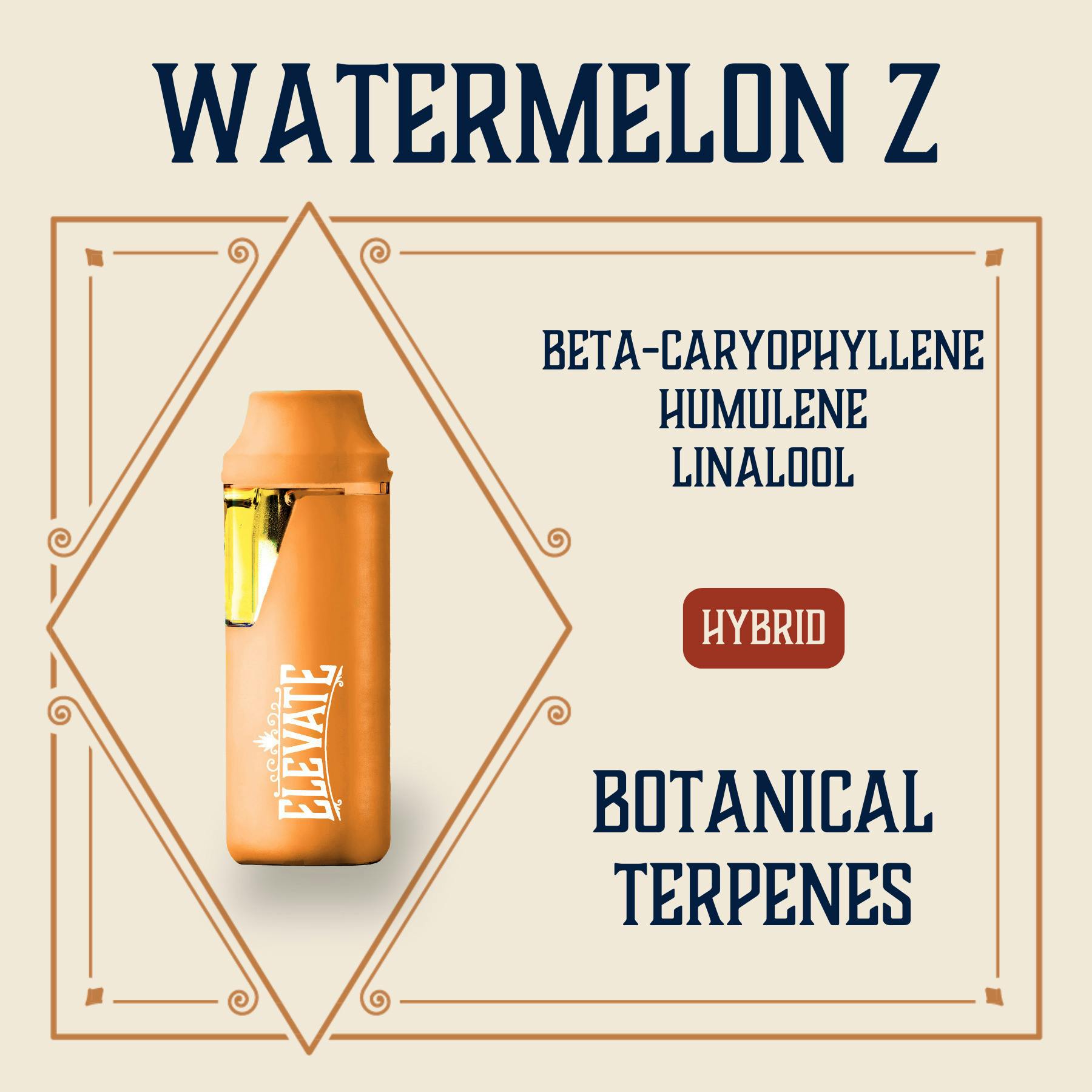 Watermelon Z | Disposable | 1g by Elevate