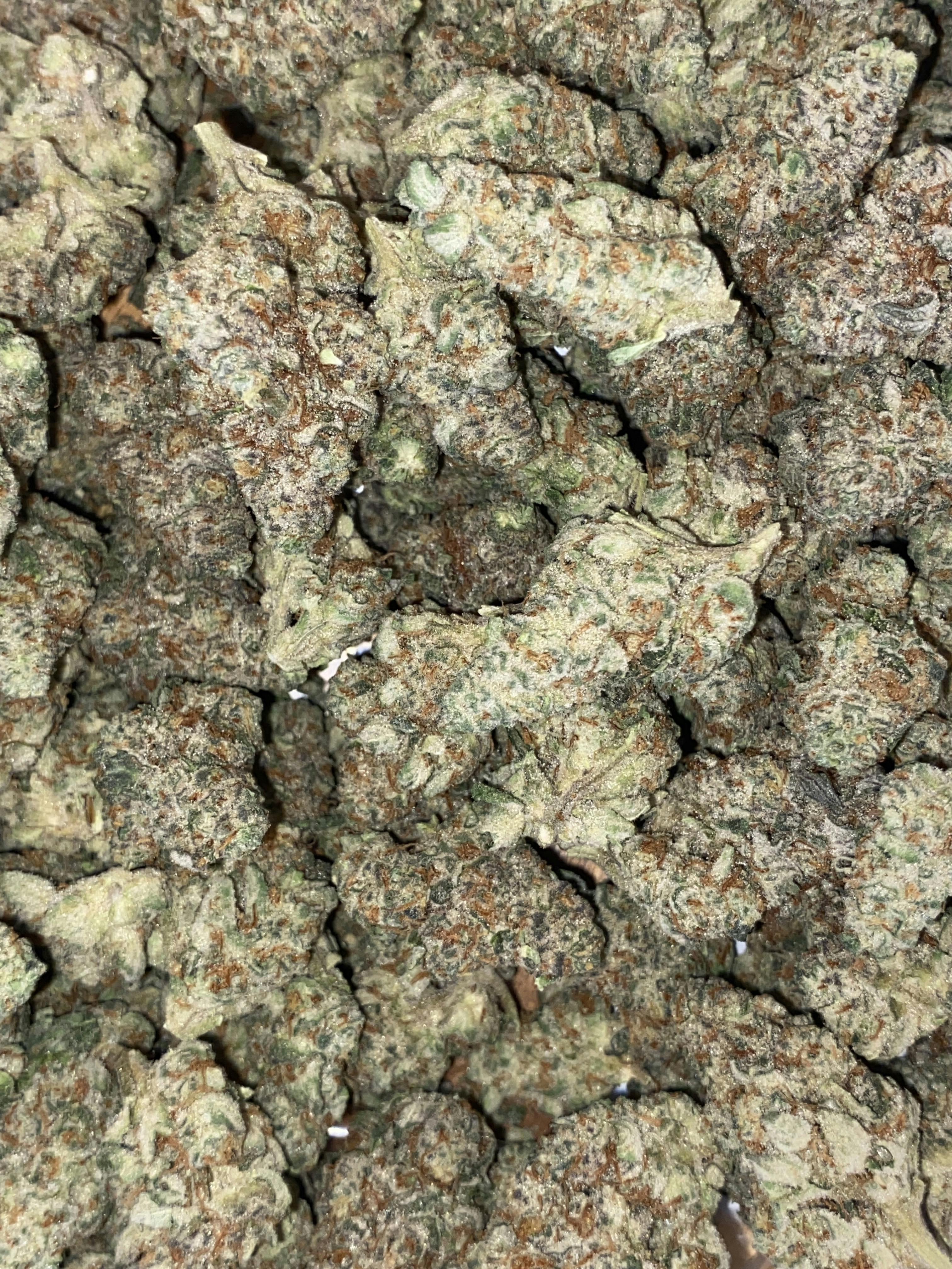 Zeal | Big Buds | 3.5g by The Green Well