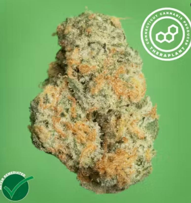 Gas Face | Big Buds | 28g by Theraplant