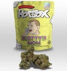 Scotty's Mom — Scotty's Mom