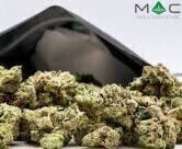 Fluffhead | Big Buds | 28g by Mac